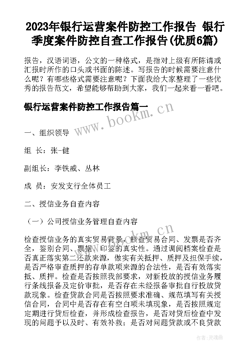 2023年银行运营案件防控工作报告 银行季度案件防控自查工作报告(优质6篇)