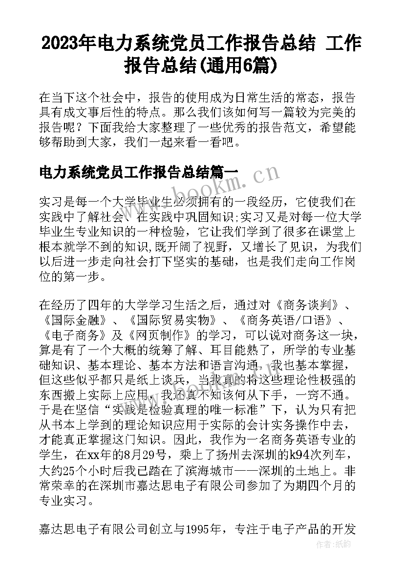 2023年电力系统党员工作报告总结 工作报告总结(通用6篇)