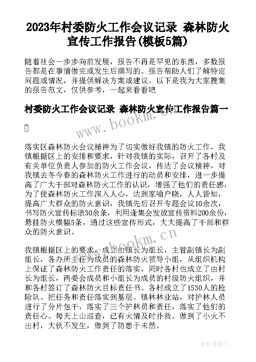 2023年村委防火工作会议记录 森林防火宣传工作报告(模板5篇)