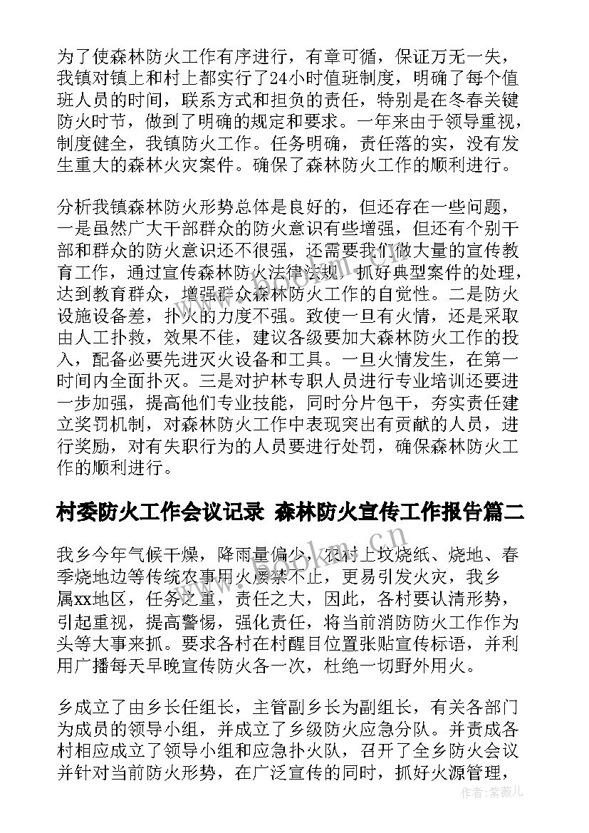 2023年村委防火工作会议记录 森林防火宣传工作报告(模板5篇)