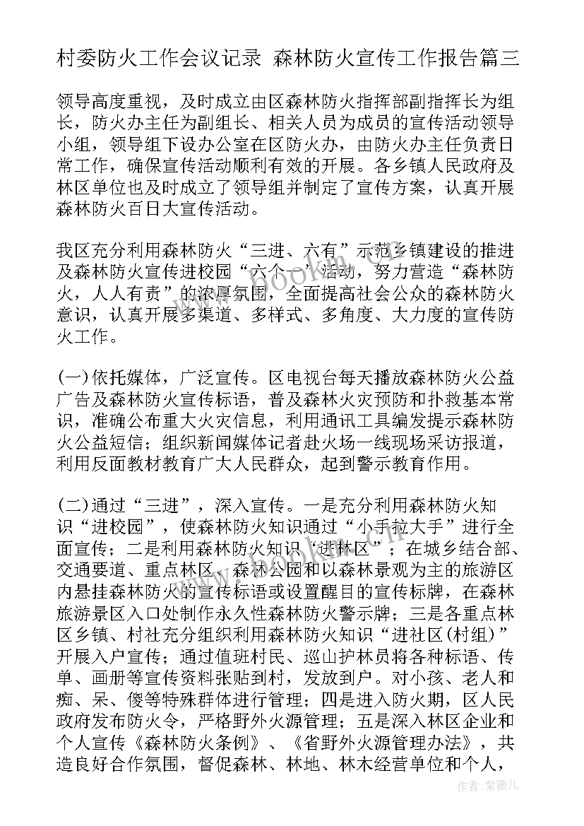 2023年村委防火工作会议记录 森林防火宣传工作报告(模板5篇)