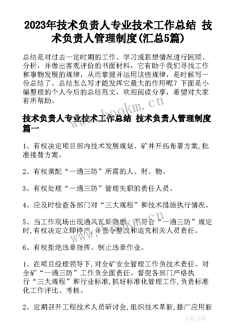 2023年技术负责人专业技术工作总结 技术负责人管理制度(汇总5篇)