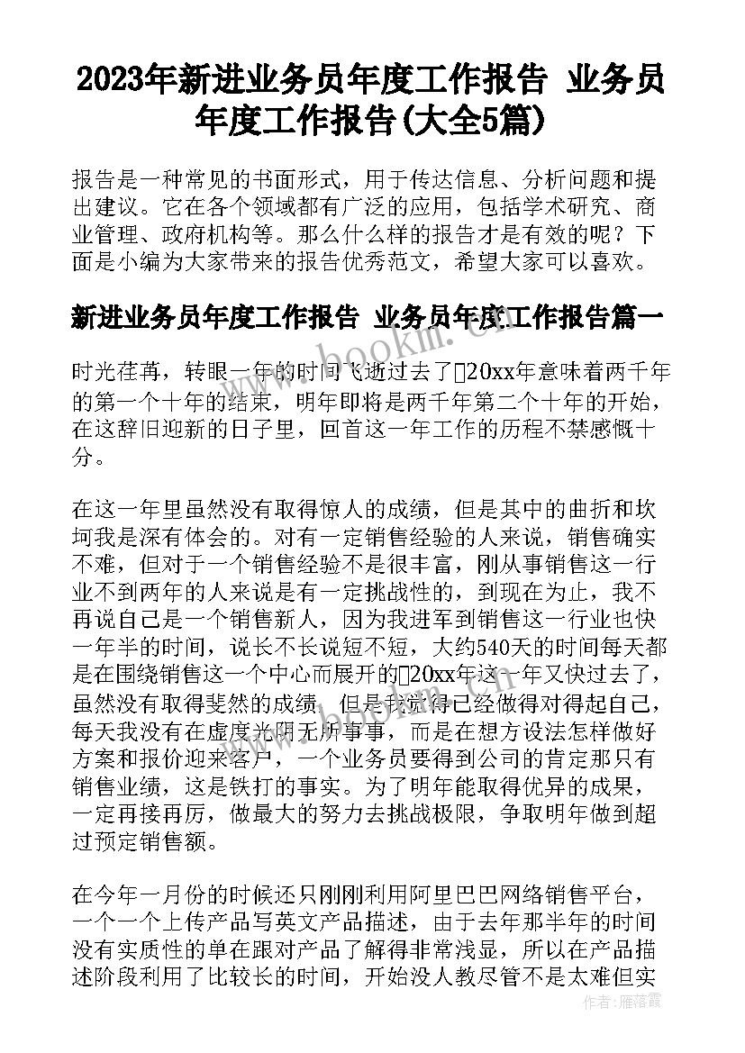 2023年新进业务员年度工作报告 业务员年度工作报告(大全5篇)