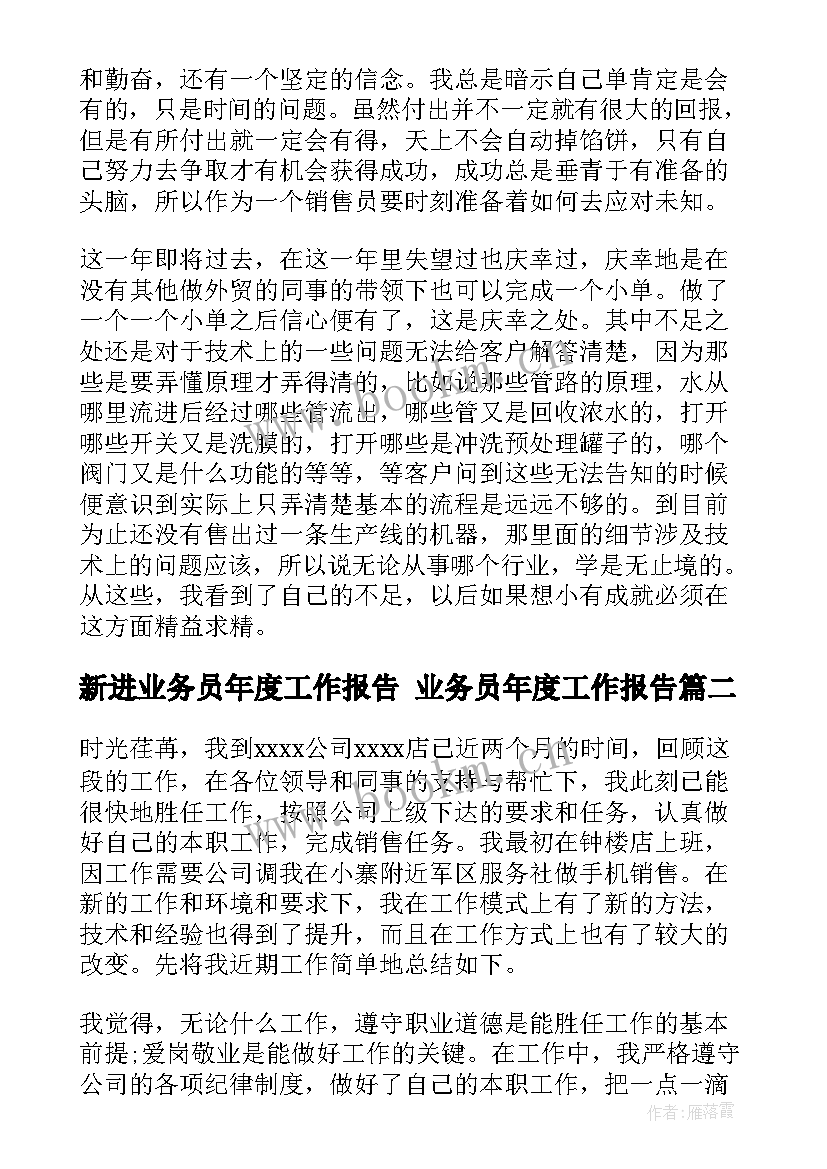 2023年新进业务员年度工作报告 业务员年度工作报告(大全5篇)