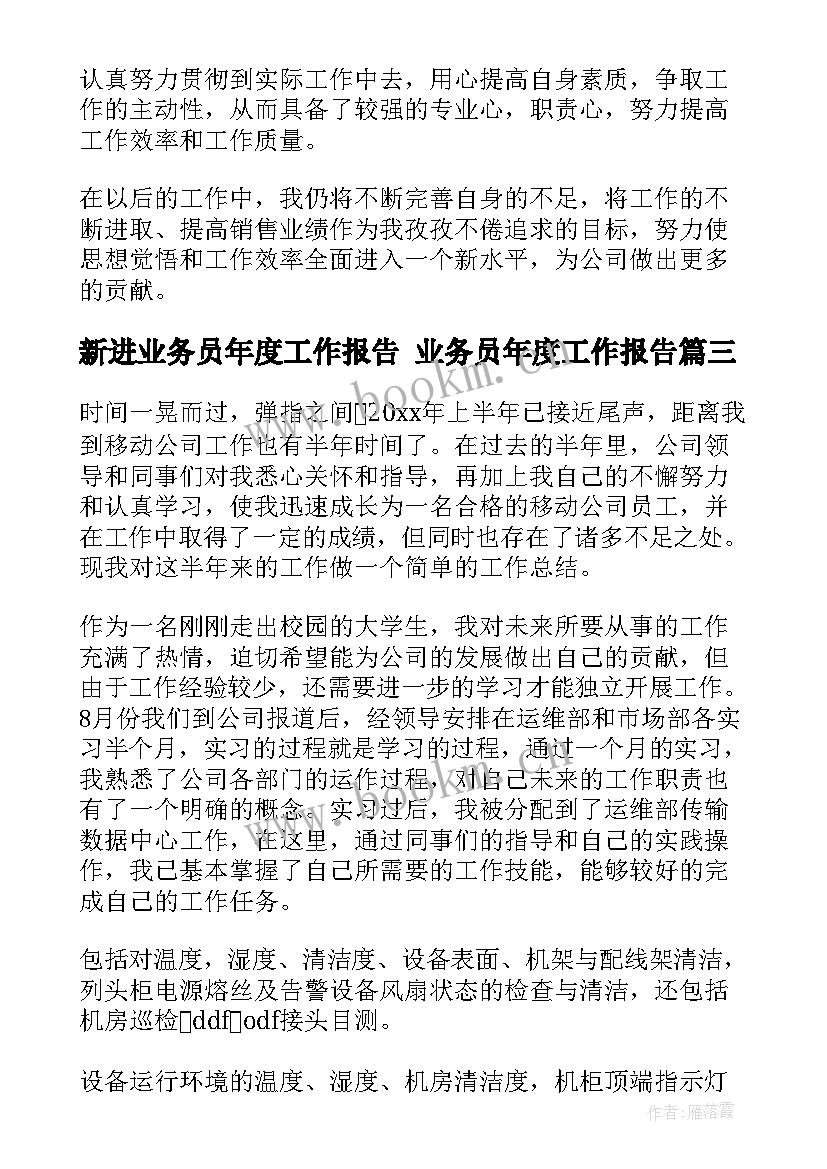 2023年新进业务员年度工作报告 业务员年度工作报告(大全5篇)