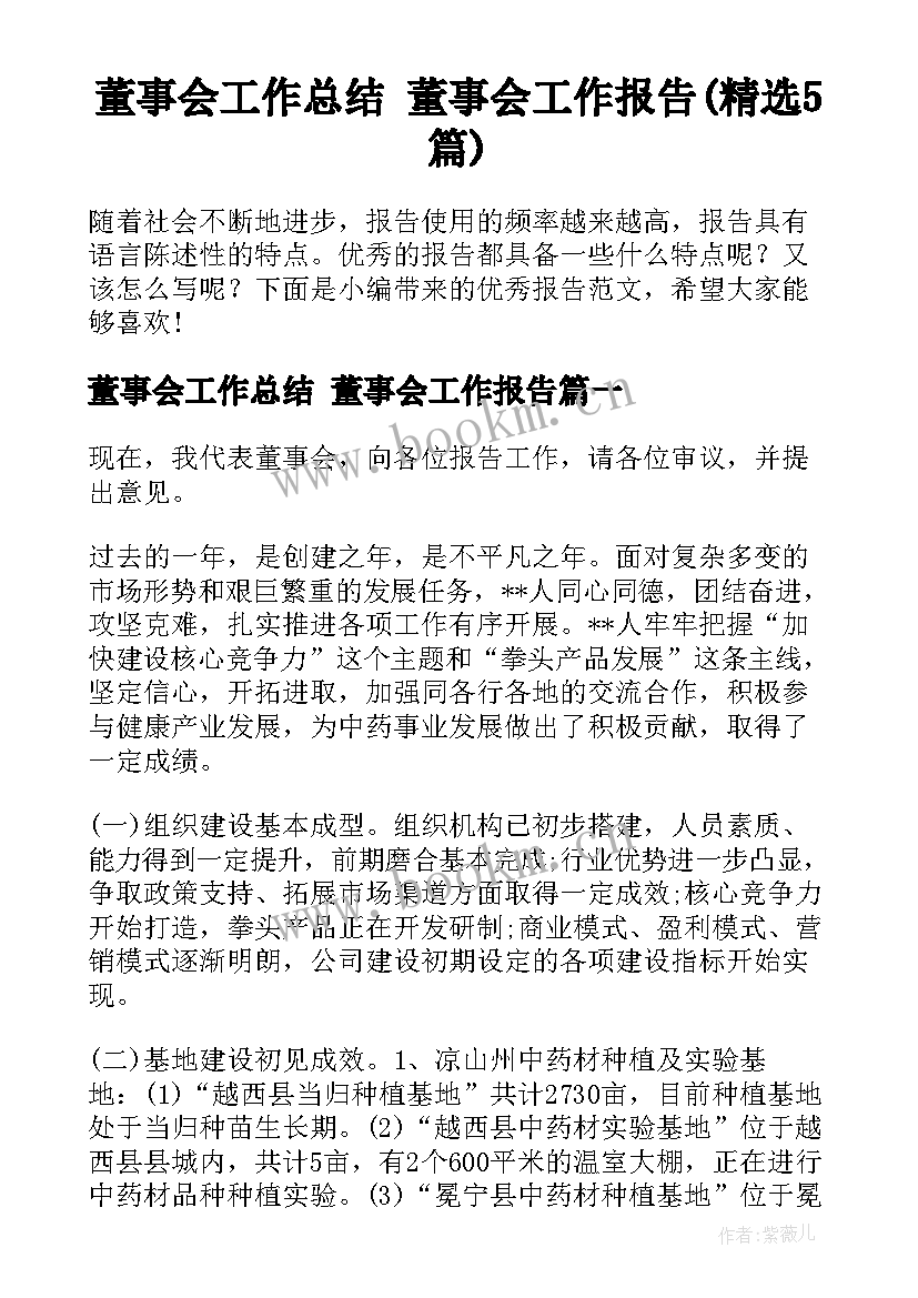 董事会工作总结 董事会工作报告(精选5篇)