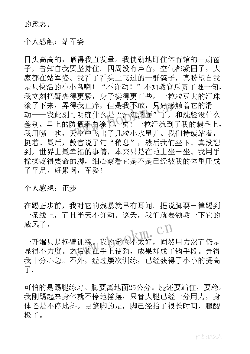 2023年社会实际自我鉴定 社会实践自我鉴定(通用8篇)