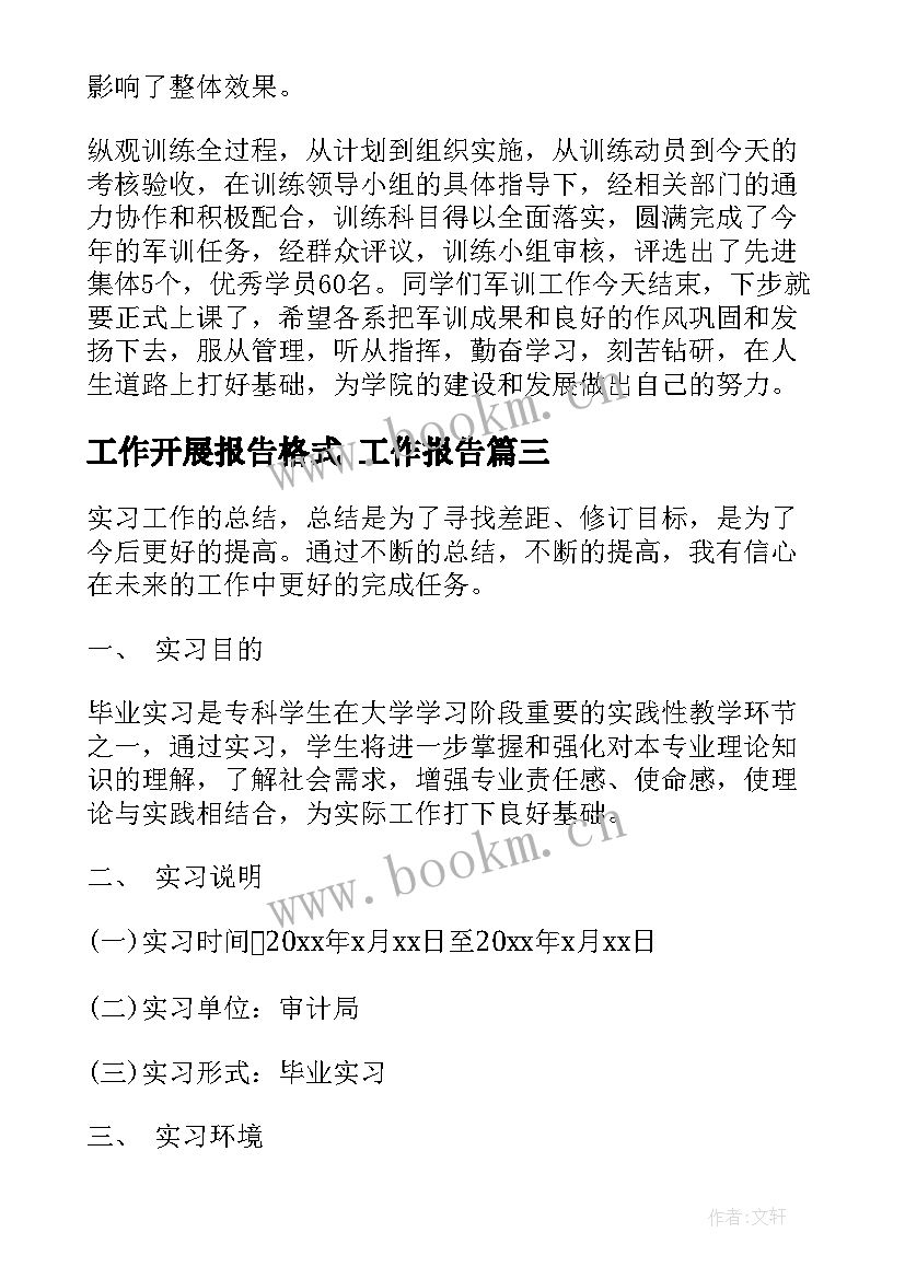 工作开展报告格式 工作报告(大全9篇)