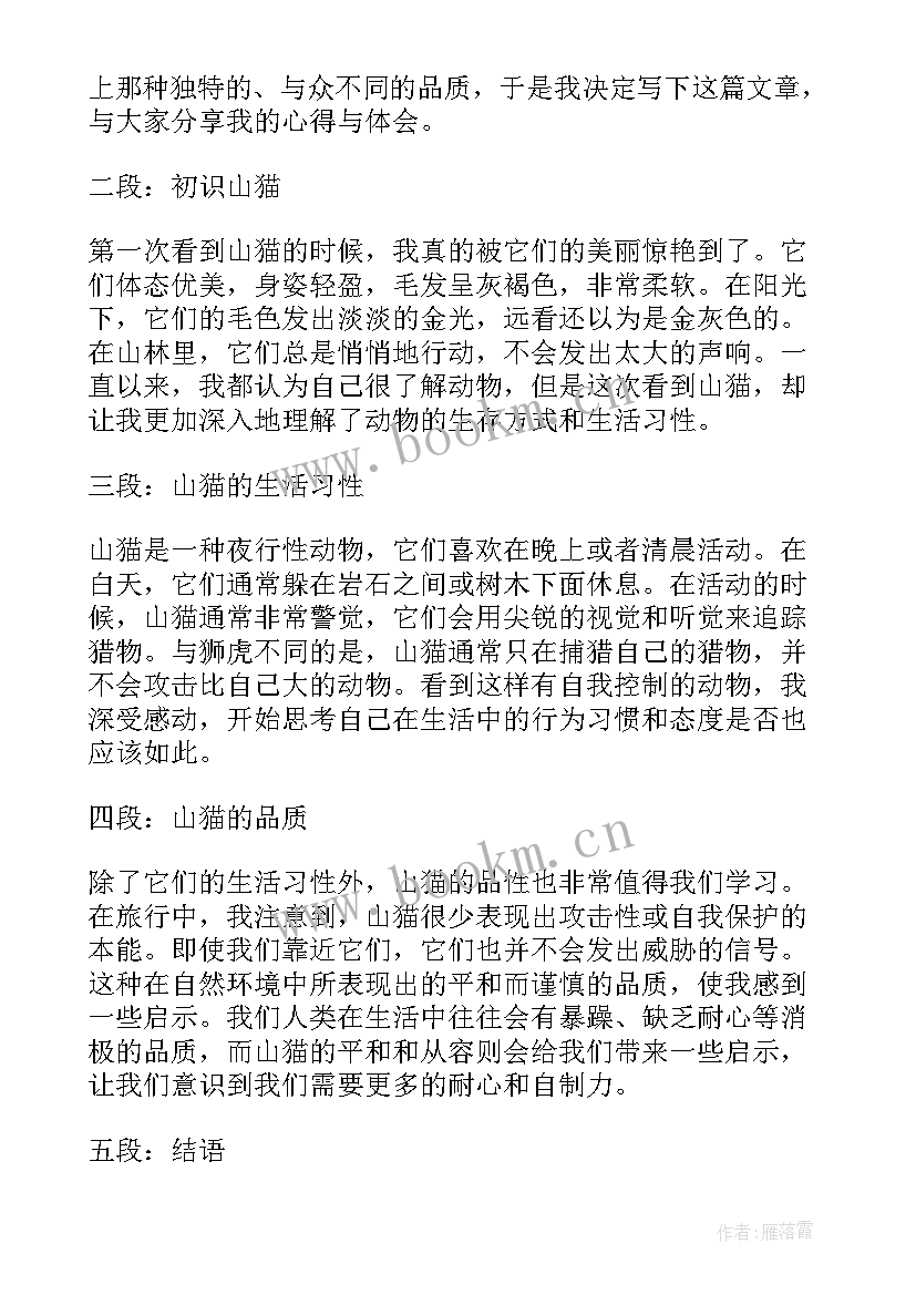 山猫心得体会 山猫堵洞心得体会(优质8篇)