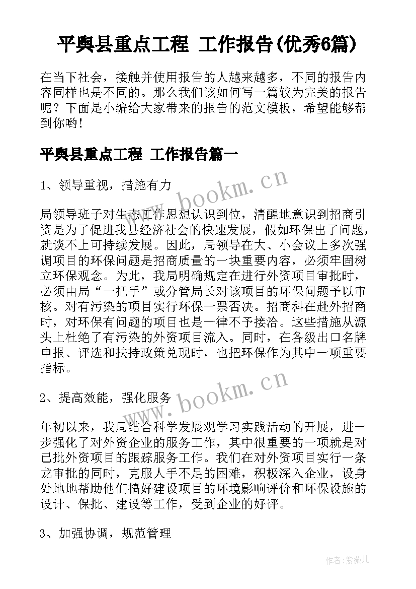 平舆县重点工程 工作报告(优秀6篇)