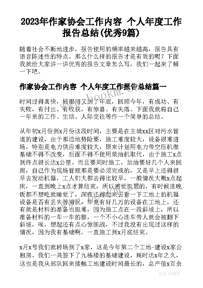 2023年作家协会工作内容 个人年度工作报告总结(优秀9篇)