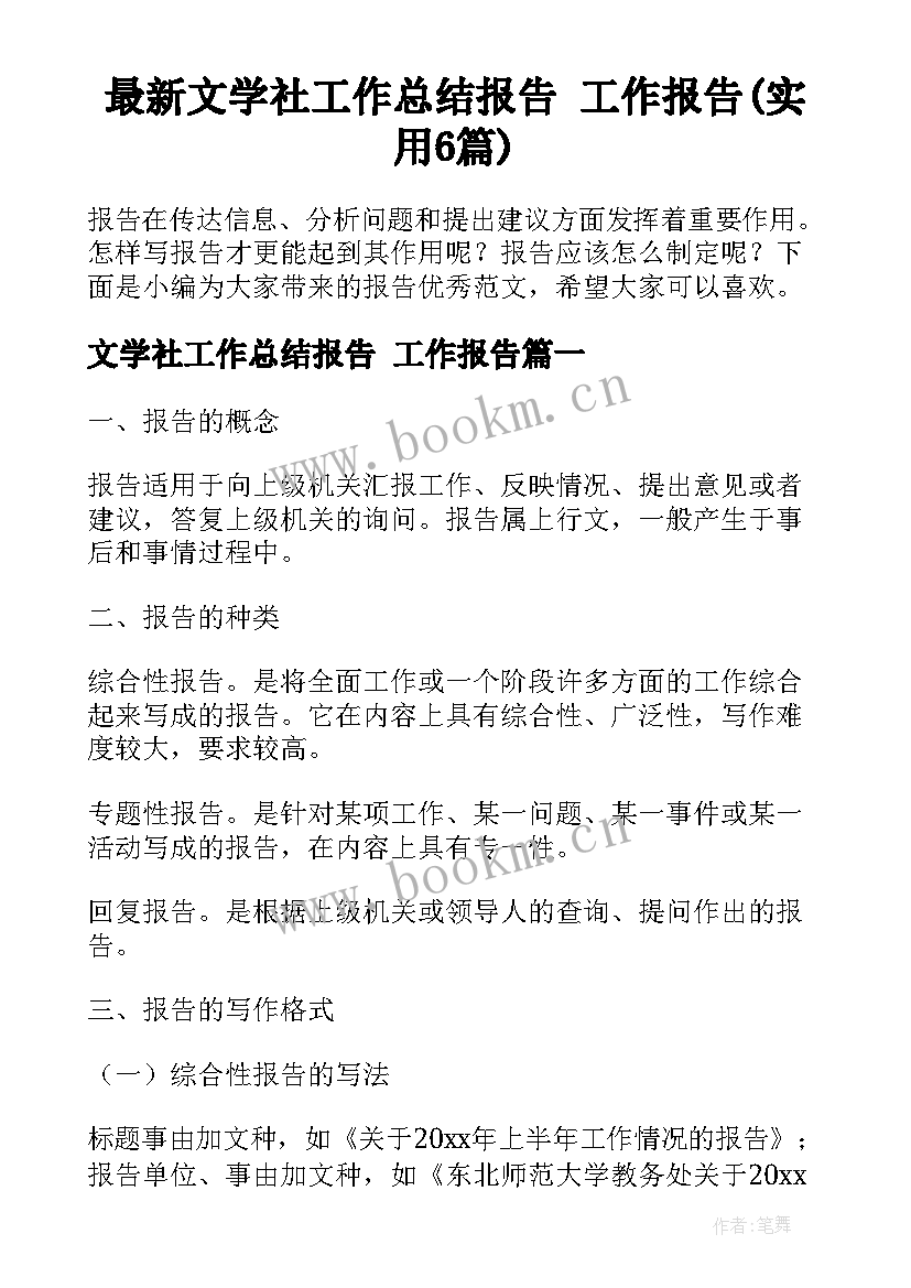 最新文学社工作总结报告 工作报告(实用6篇)