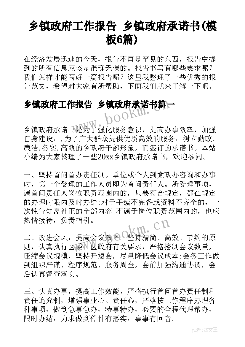 乡镇政府工作报告 乡镇政府承诺书(模板6篇)