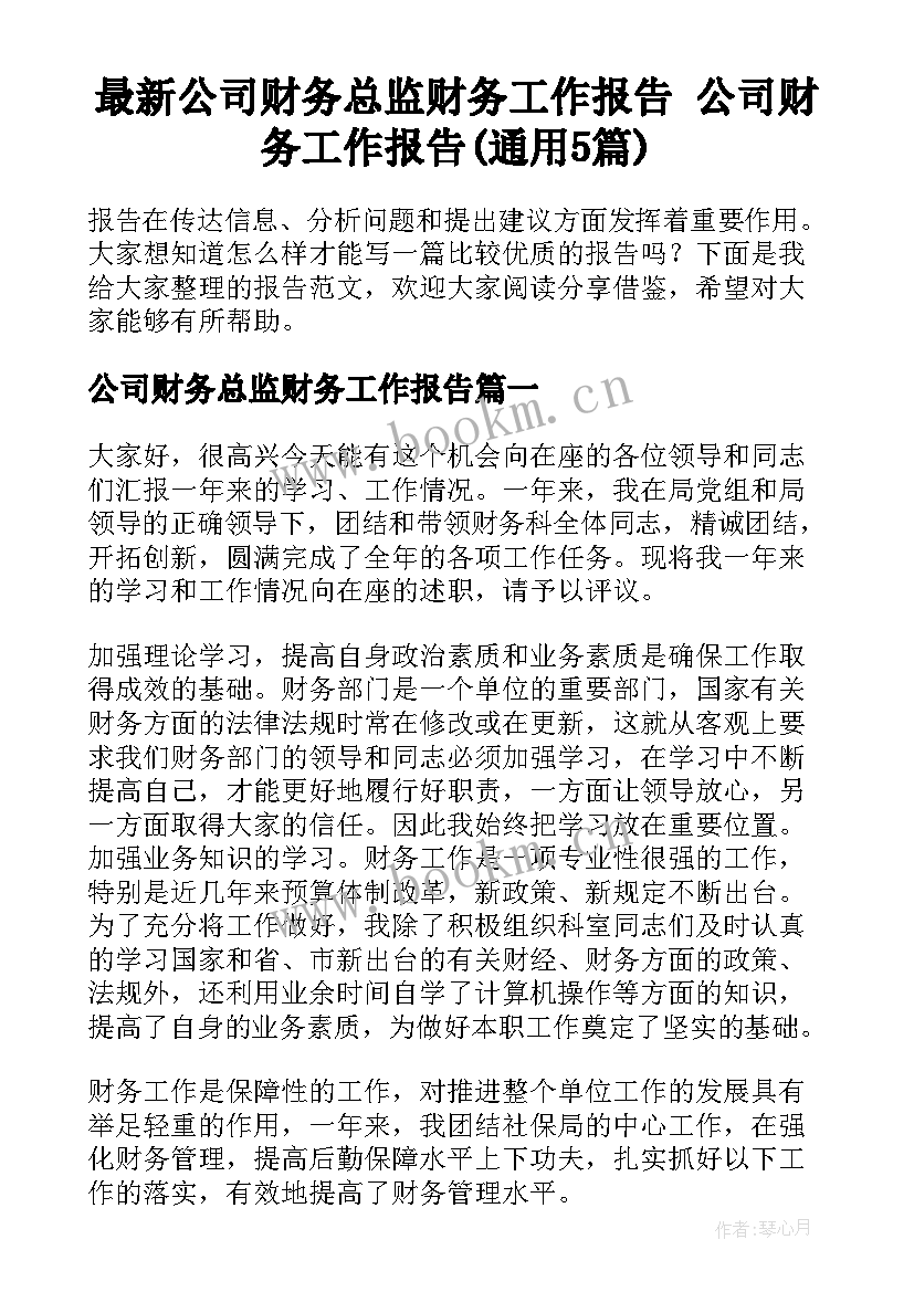 最新公司财务总监财务工作报告 公司财务工作报告(通用5篇)