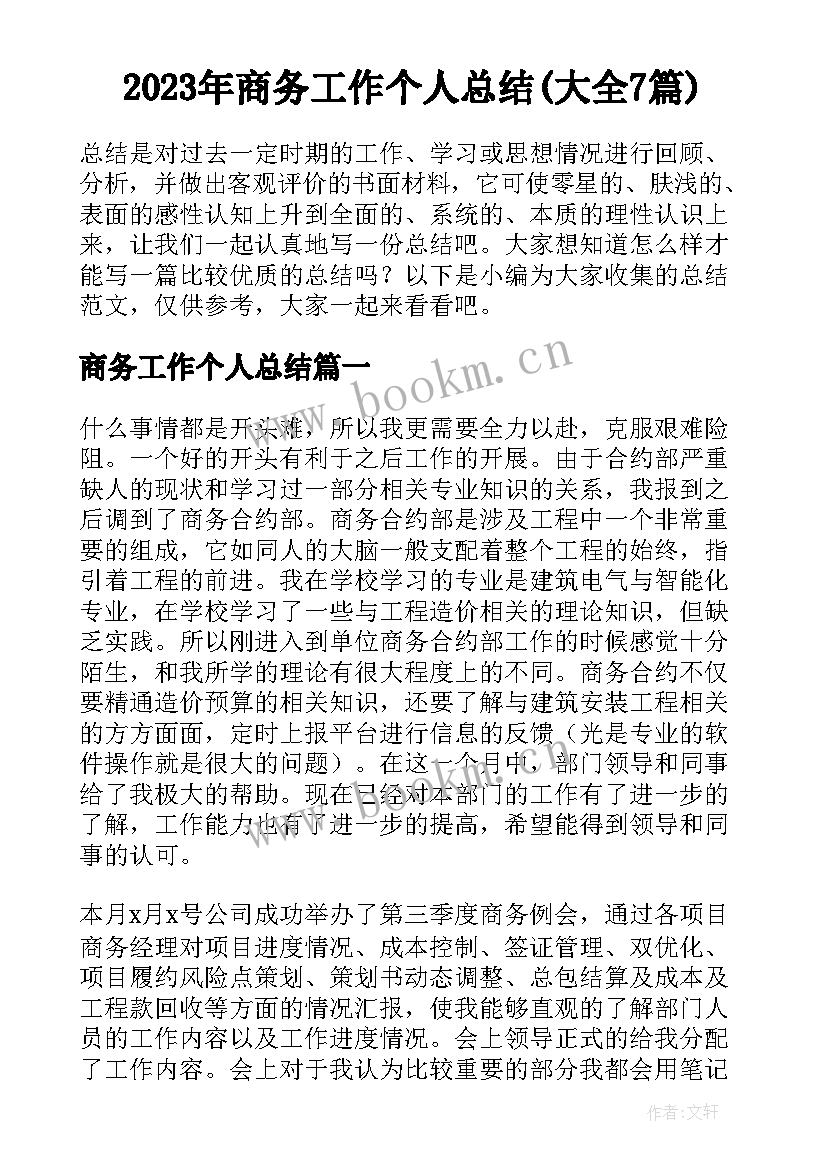 2023年商务工作个人总结(大全7篇)