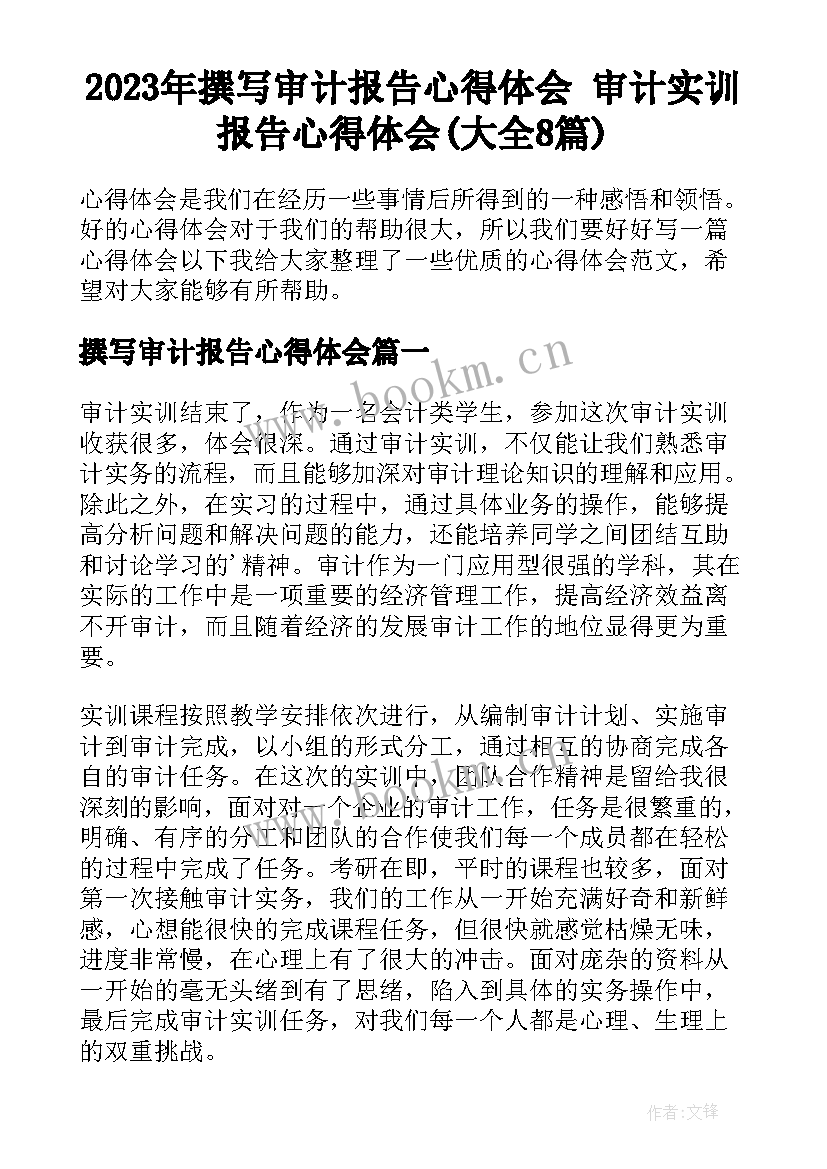 2023年撰写审计报告心得体会 审计实训报告心得体会(大全8篇)