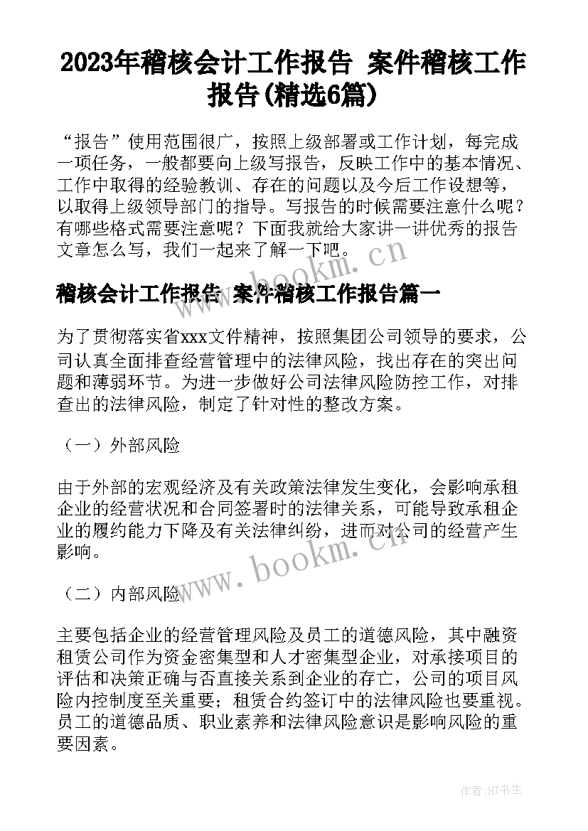 2023年稽核会计工作报告 案件稽核工作报告(精选6篇)