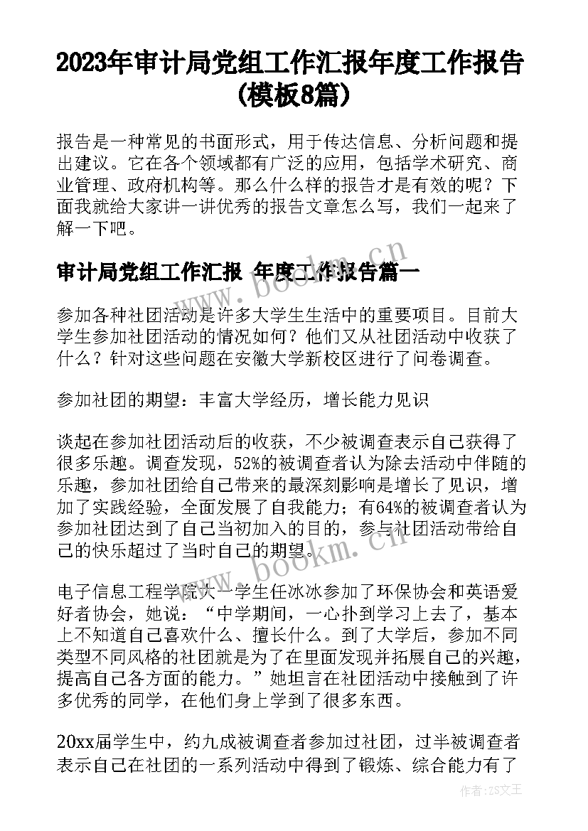 2023年审计局党组工作汇报 年度工作报告(模板8篇)