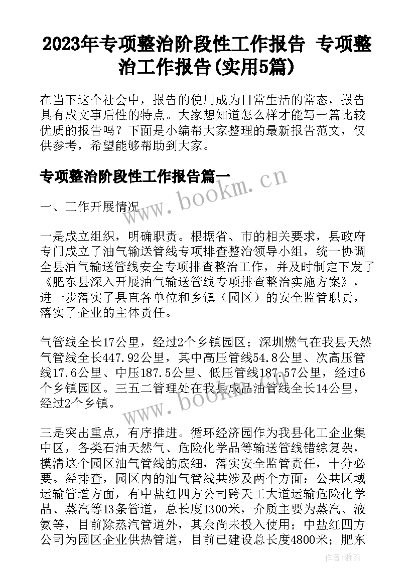 2023年专项整治阶段性工作报告 专项整治工作报告(实用5篇)