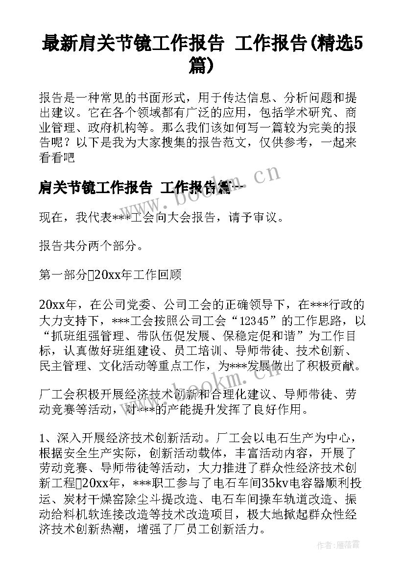 最新肩关节镜工作报告 工作报告(精选5篇)