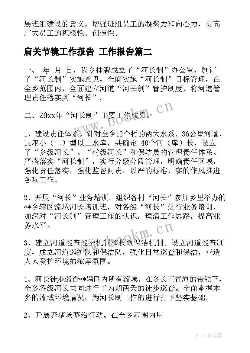 最新肩关节镜工作报告 工作报告(精选5篇)