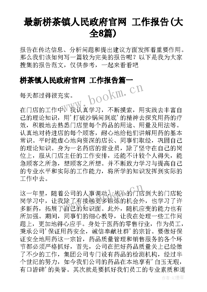 最新栟茶镇人民政府官网 工作报告(大全8篇)