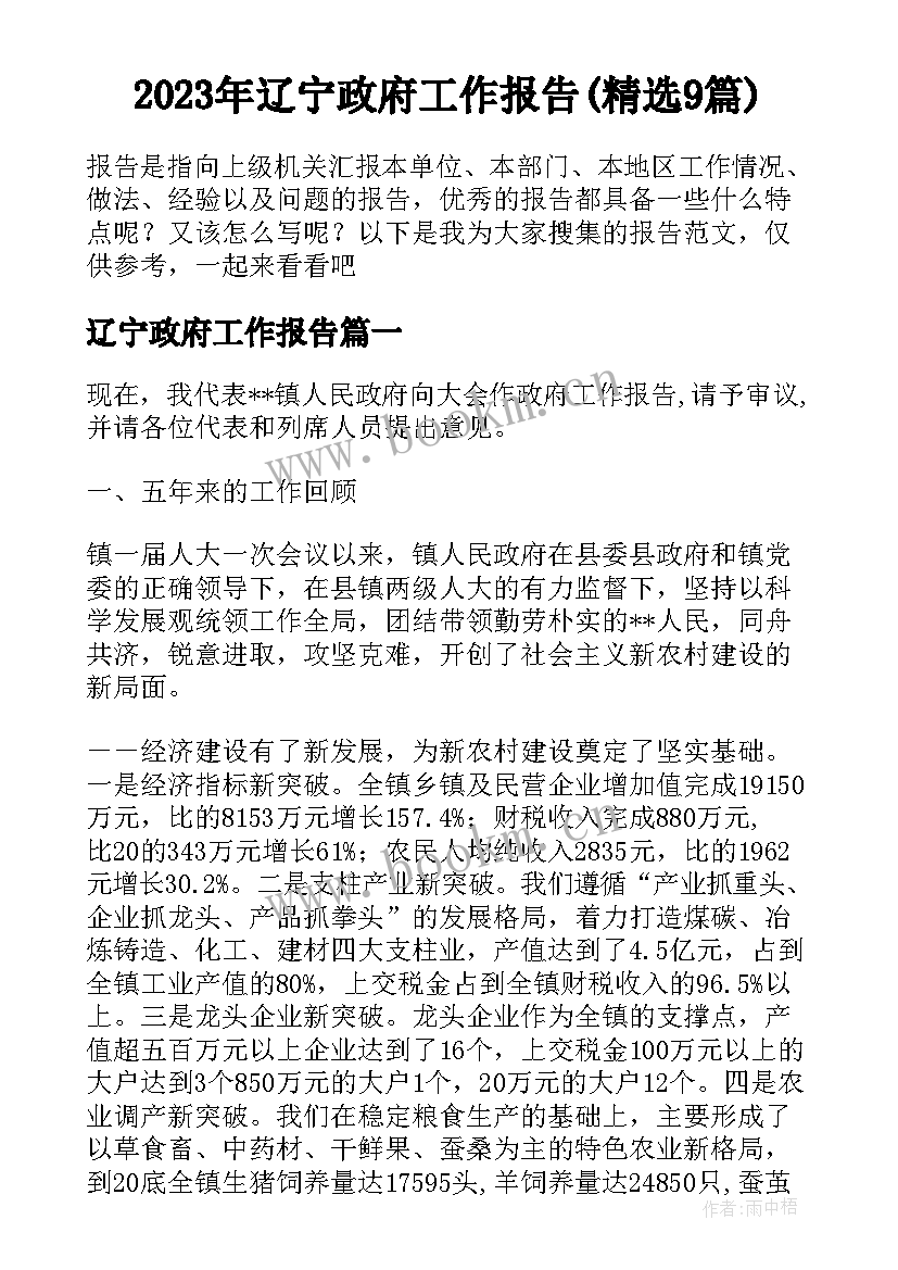 2023年辽宁政府工作报告(精选9篇)