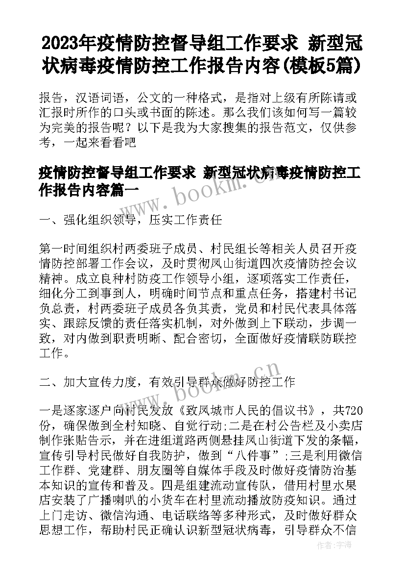 2023年疫情防控督导组工作要求 新型冠状病毒疫情防控工作报告内容(模板5篇)