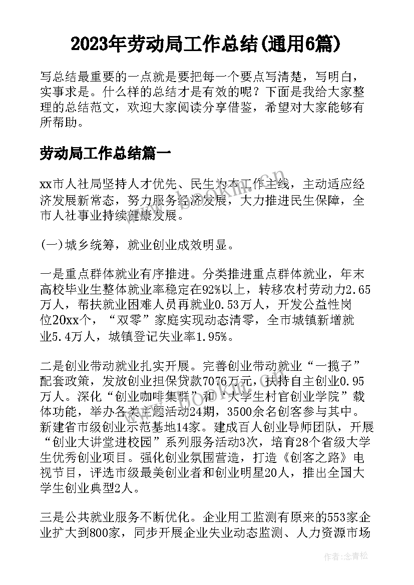 2023年劳动局工作总结(通用6篇)