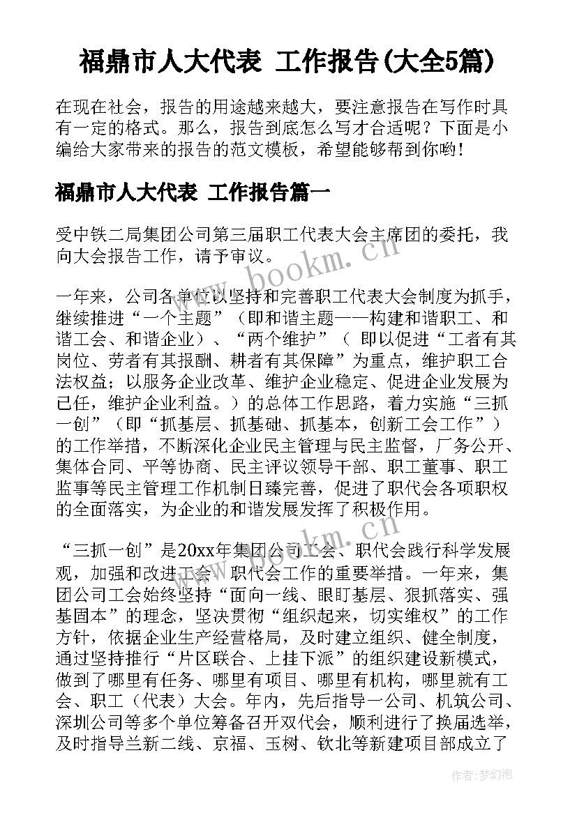 福鼎市人大代表 工作报告(大全5篇)