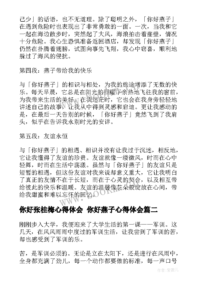 2023年你好张桂梅心得体会 你好燕子心得体会(精选6篇)