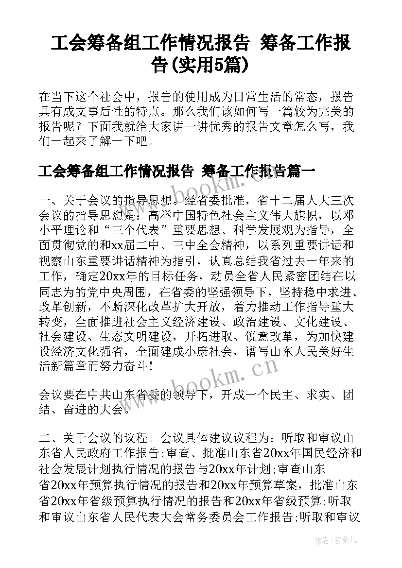 工会筹备组工作情况报告 筹备工作报告(实用5篇)