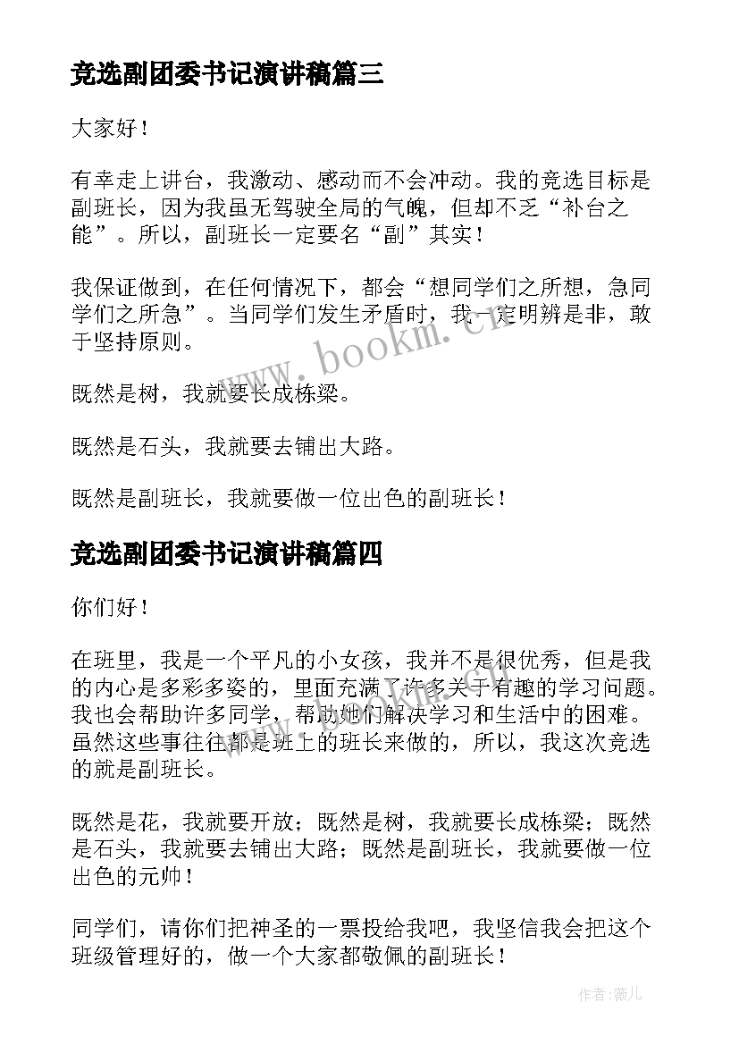 2023年竞选副团委书记演讲稿 竞选副主任演讲稿(模板6篇)