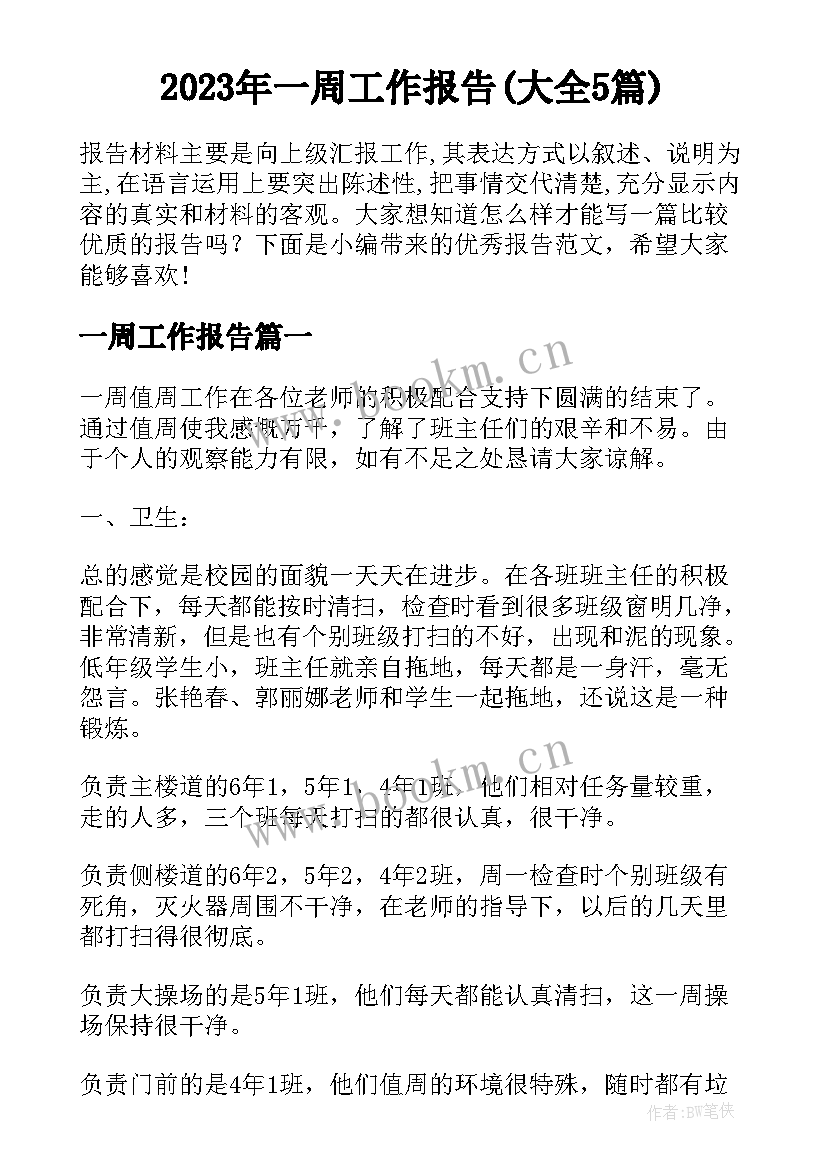 2023年一周工作报告(大全5篇)