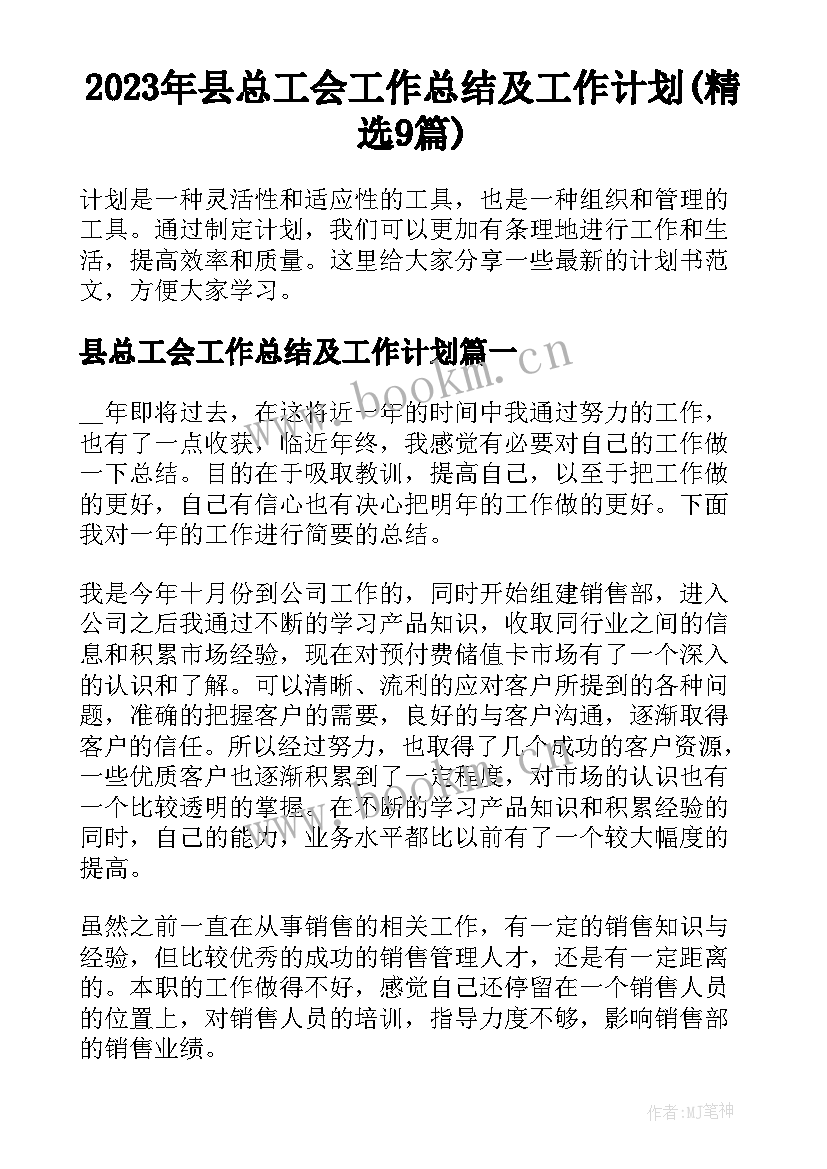 2023年县总工会工作总结及工作计划(精选9篇)