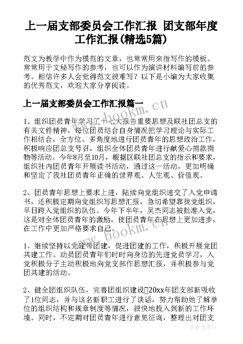 上一届支部委员会工作汇报 团支部年度工作汇报(精选5篇)