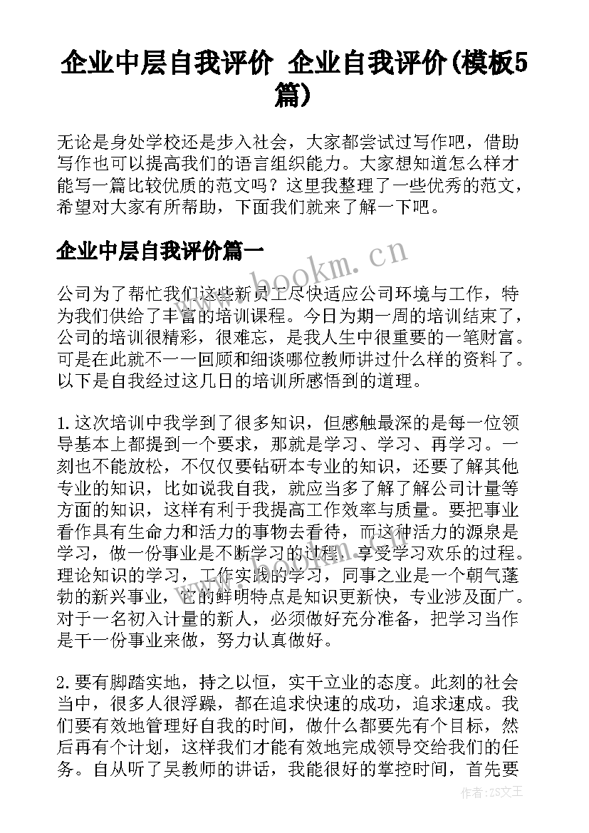 企业中层自我评价 企业自我评价(模板5篇)