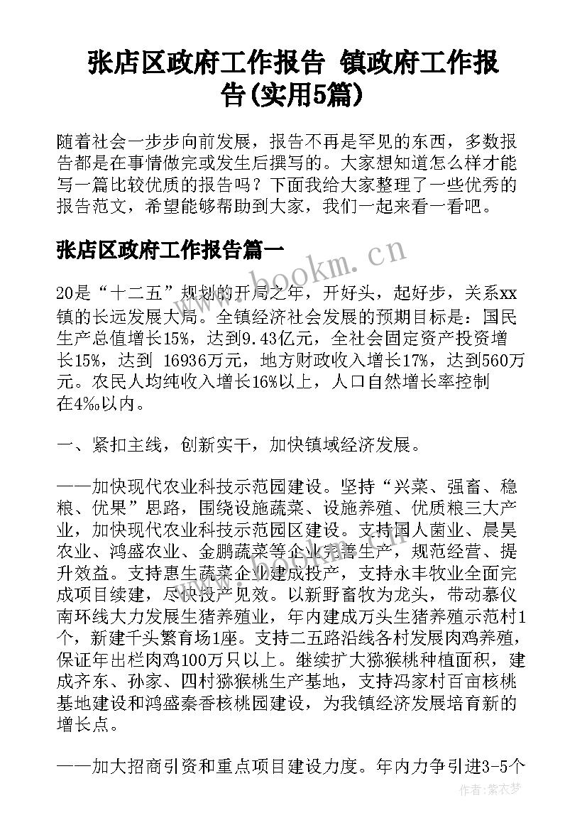 张店区政府工作报告 镇政府工作报告(实用5篇)