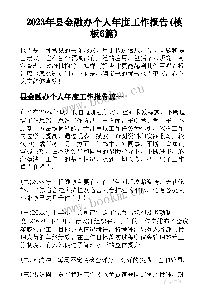 2023年县金融办个人年度工作报告(模板6篇)