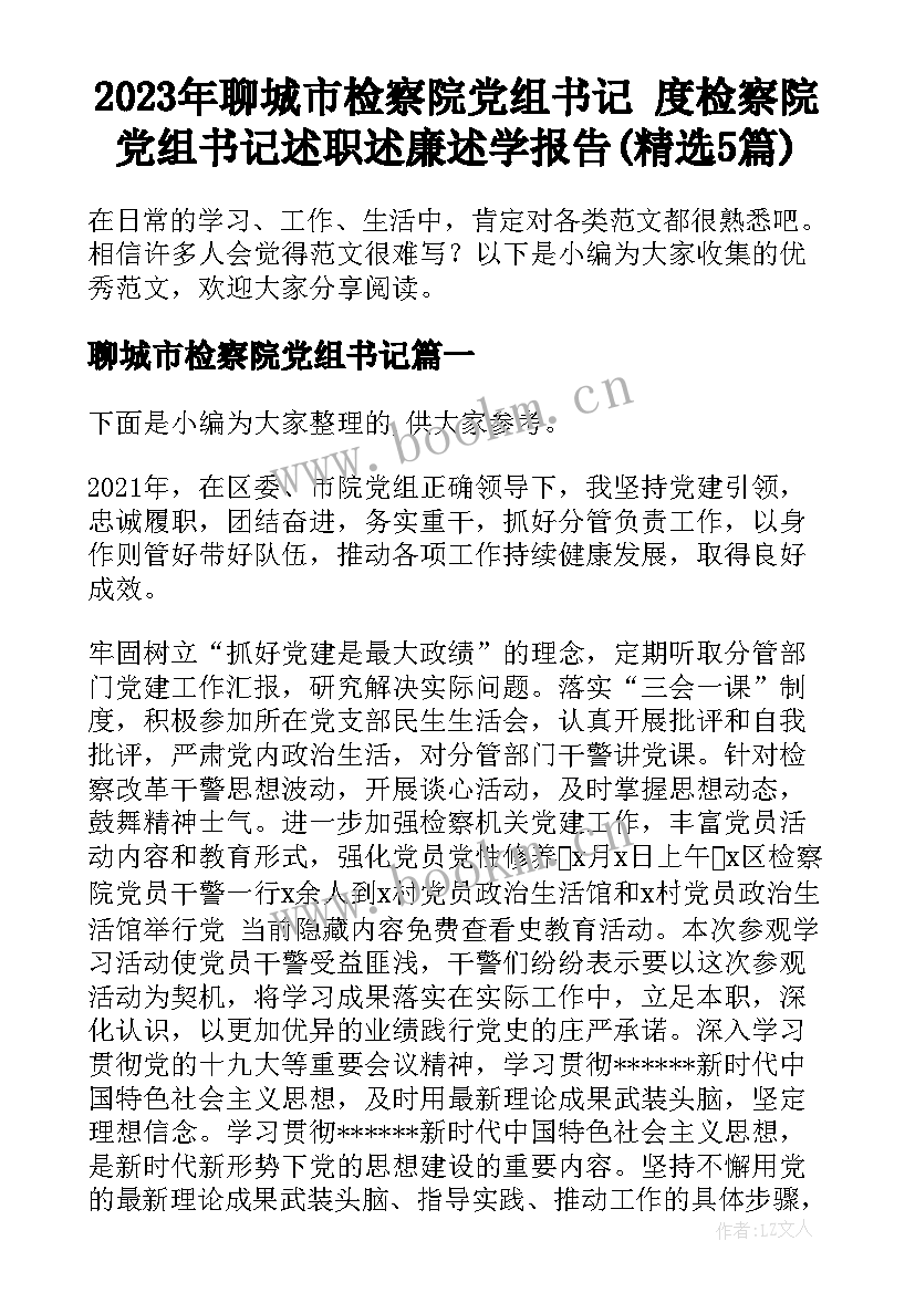 2023年聊城市检察院党组书记 度检察院党组书记述职述廉述学报告(精选5篇)