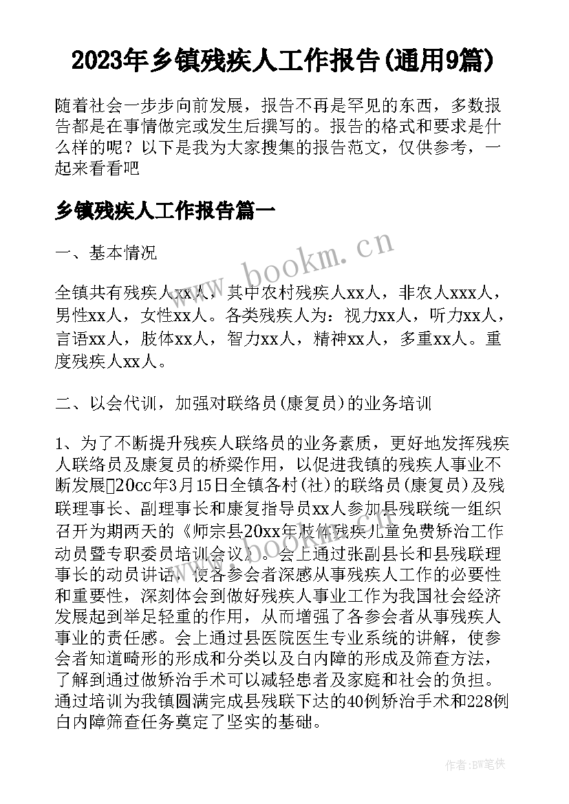 2023年乡镇残疾人工作报告(通用9篇)