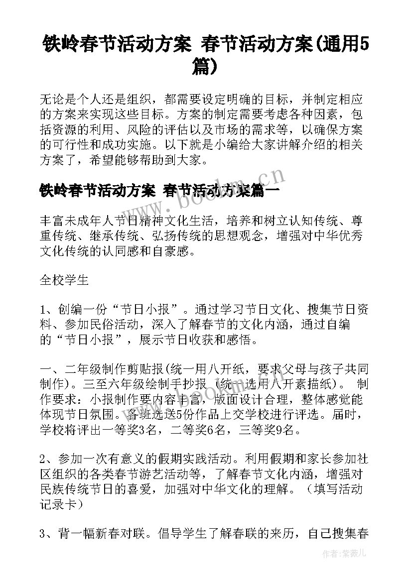 铁岭春节活动方案 春节活动方案(通用5篇)