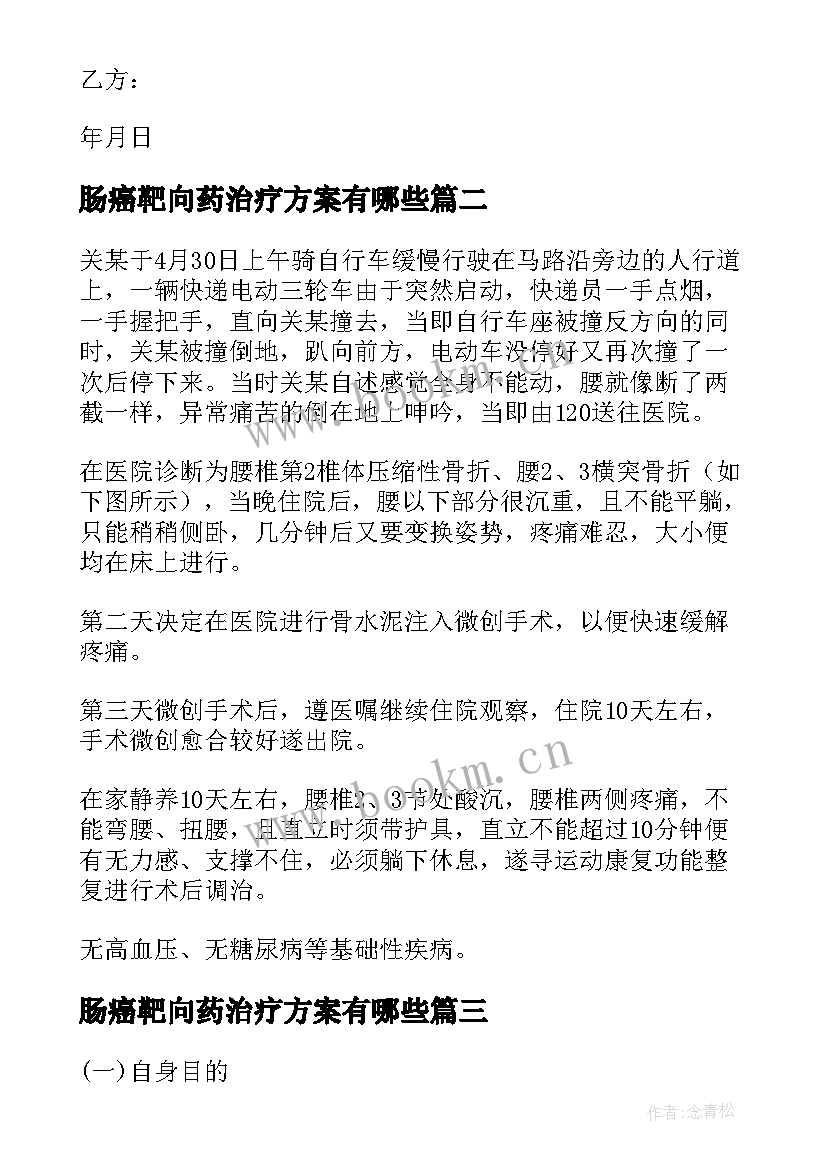 2023年肠癌靶向药治疗方案有哪些(优秀5篇)