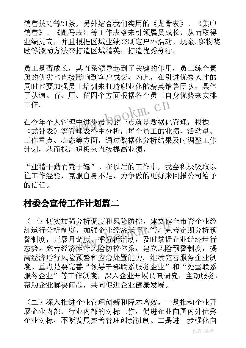 2023年村委会宣传工作计划(大全6篇)