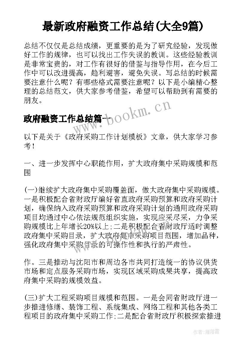 最新政府融资工作总结(大全9篇)