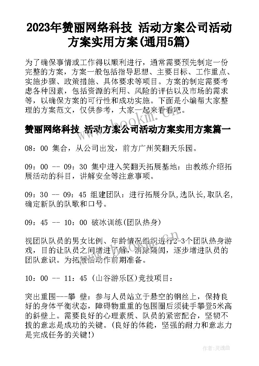 2023年赞丽网络科技 活动方案公司活动方案实用方案(通用5篇)