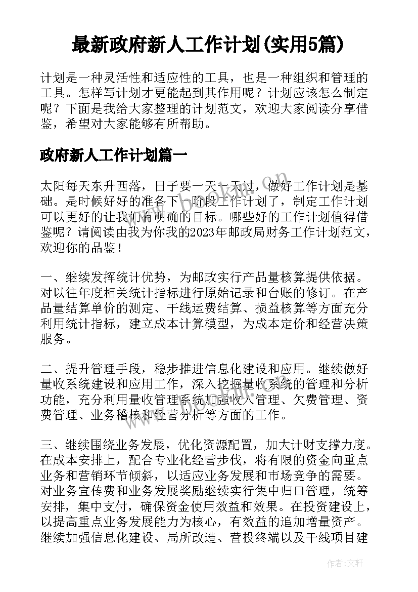 最新政府新人工作计划(实用5篇)