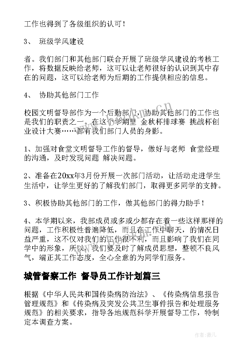 2023年城管督察工作 督导员工作计划(实用9篇)