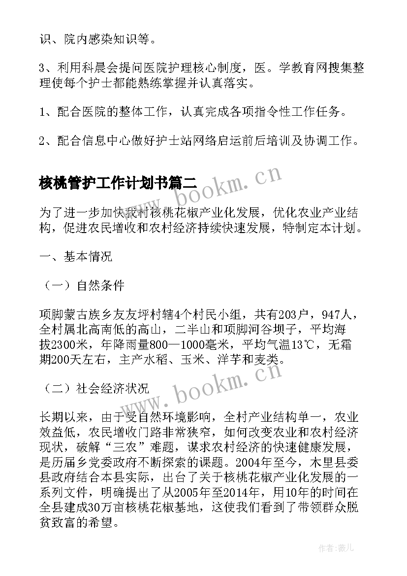 核桃管护工作计划书(优质5篇)