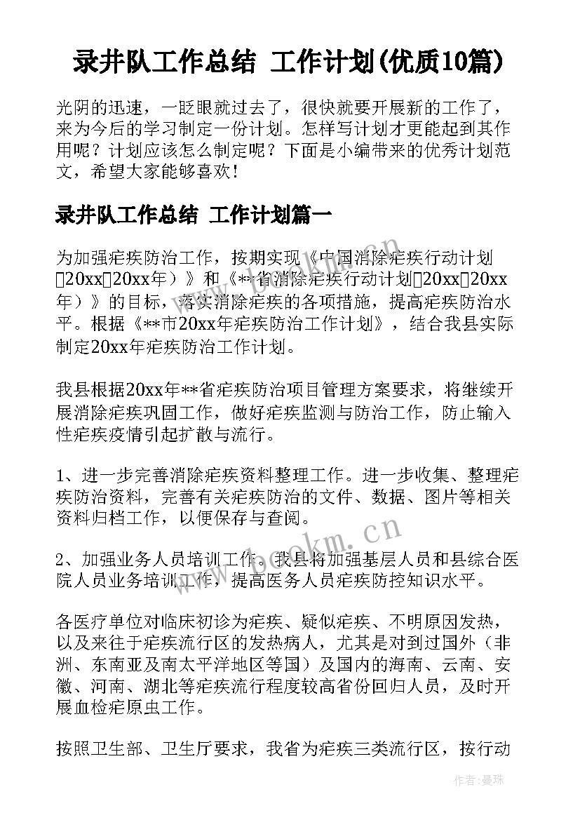 录井队工作总结 工作计划(优质10篇)